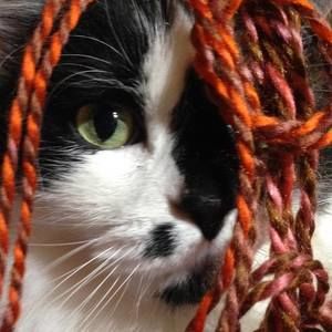 Meet your Posher, Judy